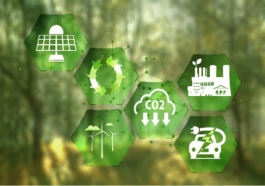 Le start-up che catturano l'anidride carbonica contro il cambiamento climatico